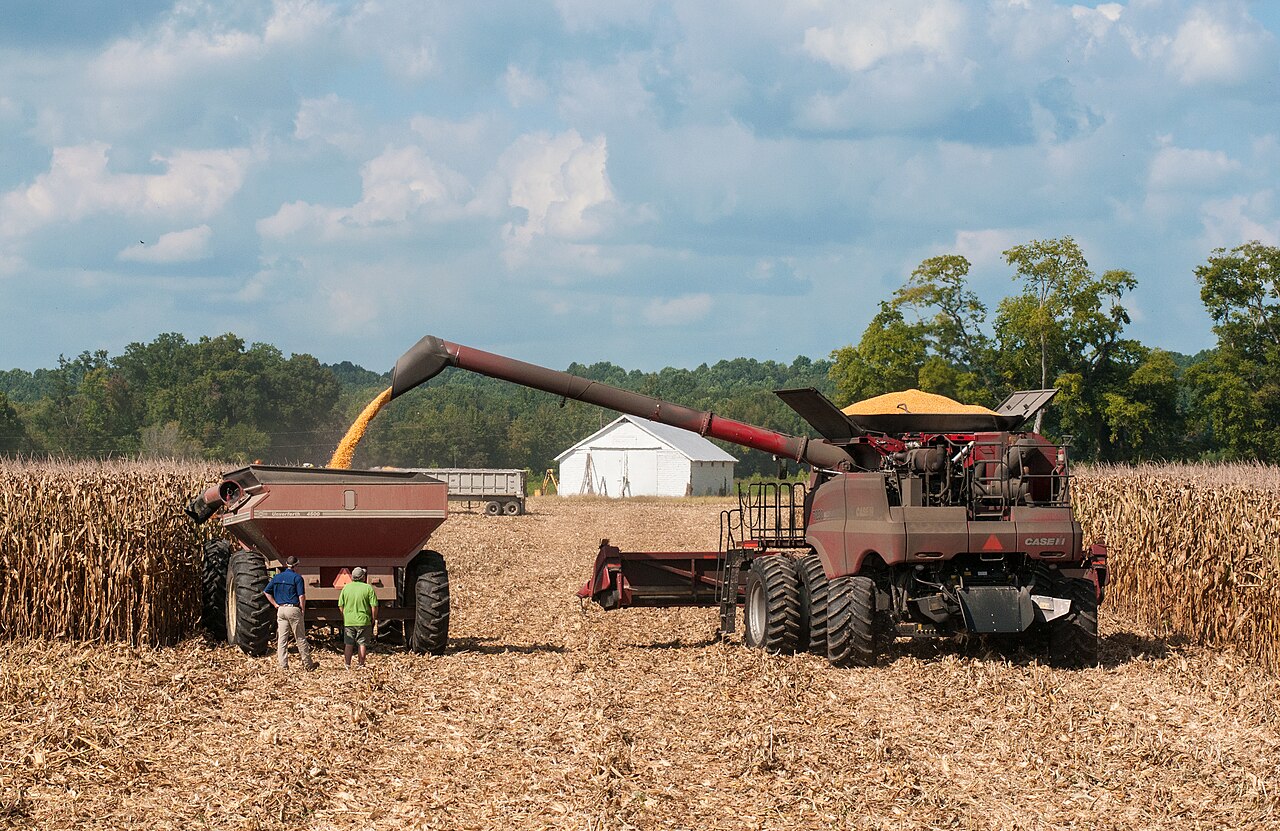 A combine transfers corn to a grain cart in Virginia; archive photograph from 20 September 2013.